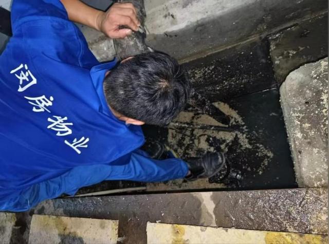 全力迎战台风“贝碧嘉”（二）k8凯发一触即发本市房管系统(图1)