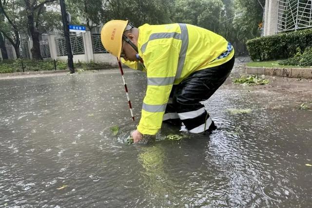 全力迎战台风“贝碧嘉”（二）k8凯发一触即发本市房管系统(图15)