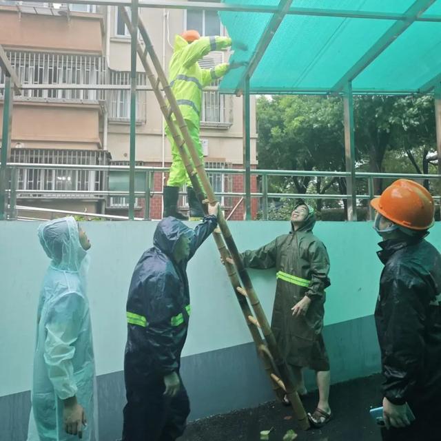 全力迎战台风“贝碧嘉”（二）k8凯发一触即发本市房管系统(图20)
