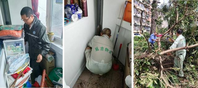 全力迎战台风“贝碧嘉”（二）k8凯发一触即发本市房管系统(图21)