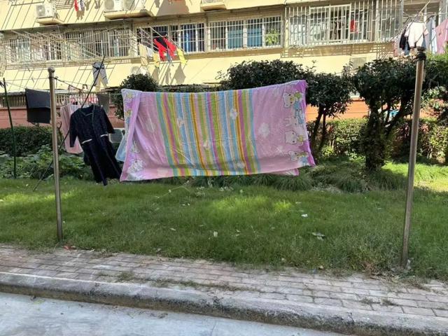 向心力提升居民幸福感凯发k8入口文明凝聚(图1)